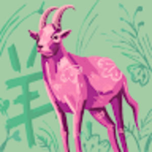 Meet your Posher, Izzy